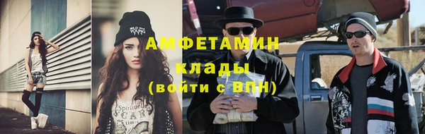 дмт Богданович