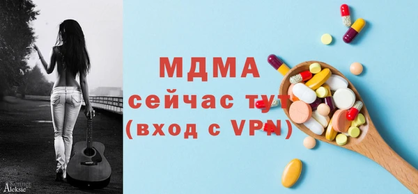 дмт Богданович