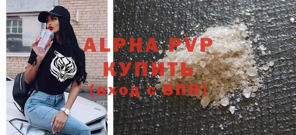 дмт Богданович