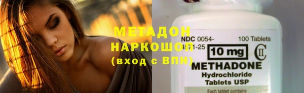 дмт Богданович