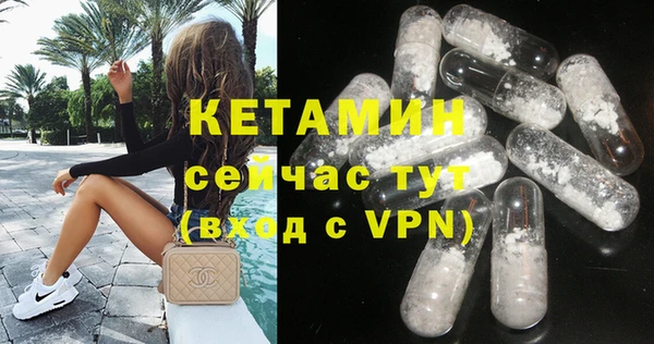 дмт Богданович