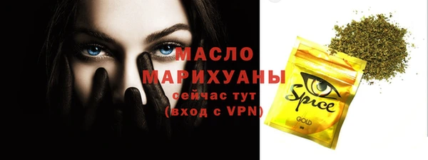 дмт Богданович