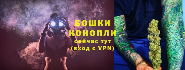 mix Богородицк