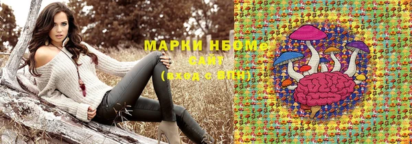 mix Богородицк