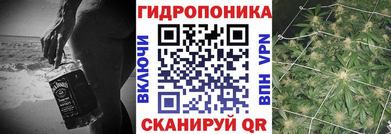дарнет шоп  Томмот  Канабис семена 